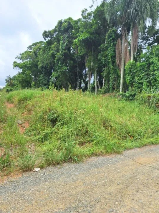 Excelente Terreno Comercial / Residencial próximo ao Eixo Sul - Foto 4