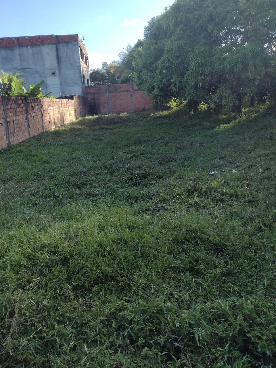 Foto - Camaçari - Parque das Mangabas