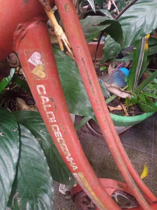 Quadro Caloi Cecizinha  - Foto 2