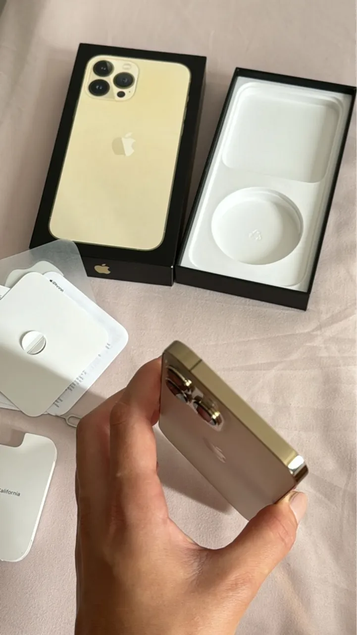 iPhone 13 Pro Max de 256g