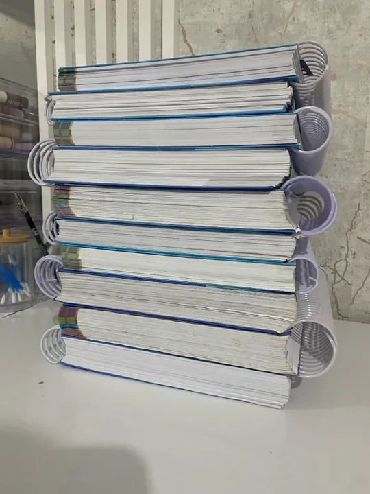 Livros Fênix Edição 2024  - Foto 2