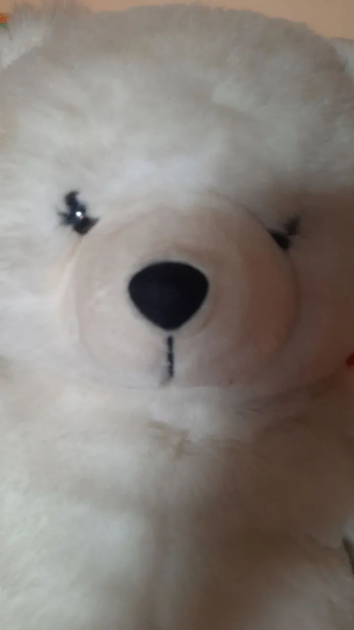 Ursinho lindo - Foto 4