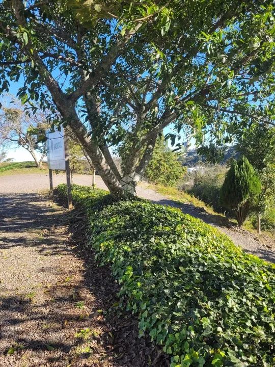 Terreno 1.603,35m2 - Foto 2