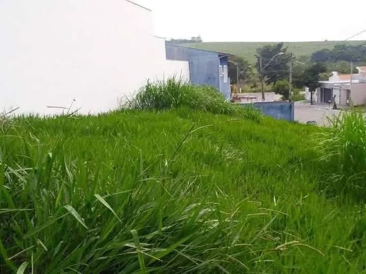 VENDO TERRENO CAÇAPAVA  -  VITÓRIA VALE  -  235 m2 -  R$ 115 mil  -  ? *  - Foto 4