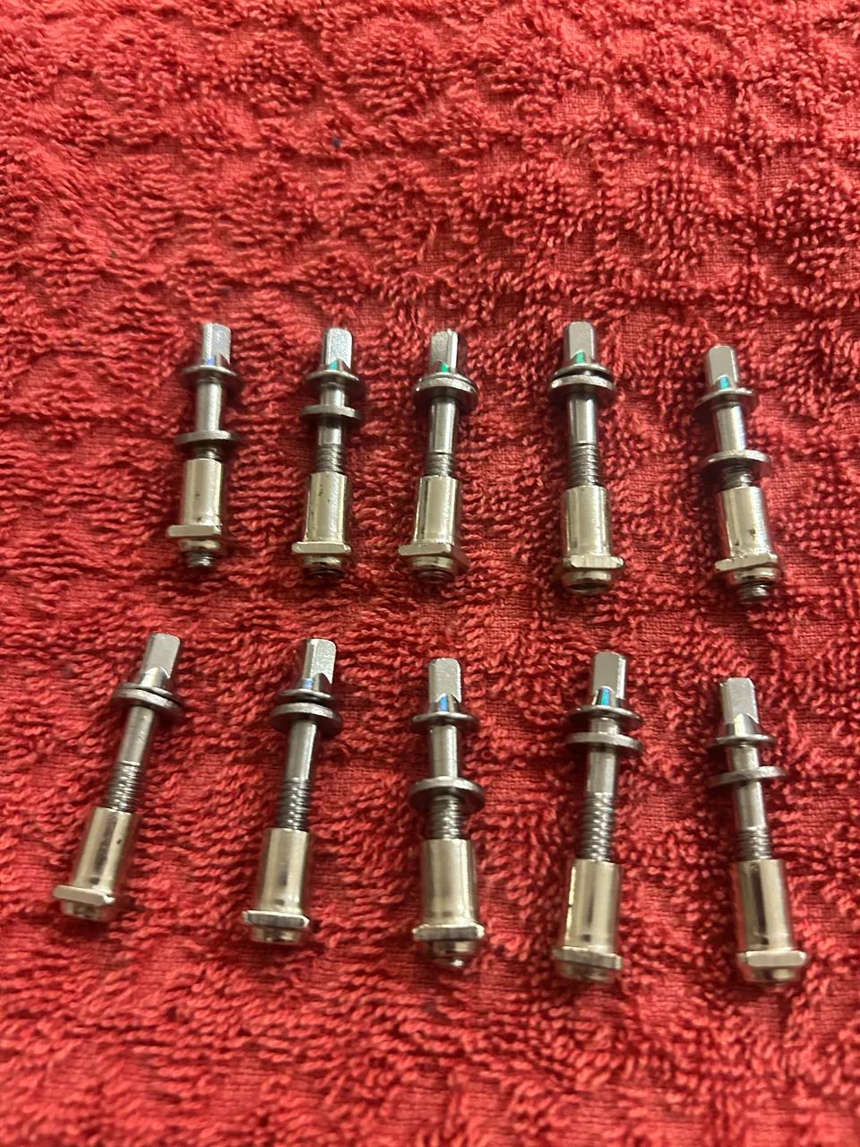 Dez parafusos 5mm + 10 buchas