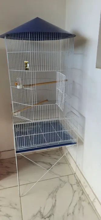 Gaiola Grande para Pássaros - Com  Telhado Azul - Foto 3