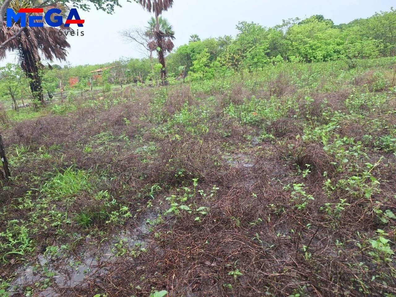 Terreno à venda, 1980 m² por R$ 100.000 - Toco - Caucaia/CE - Foto 2