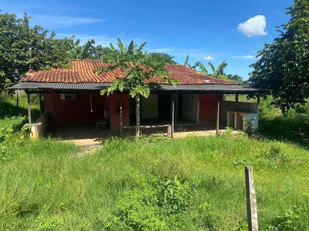 chacara de 8 alqueires em bela vista go  - Foto 5