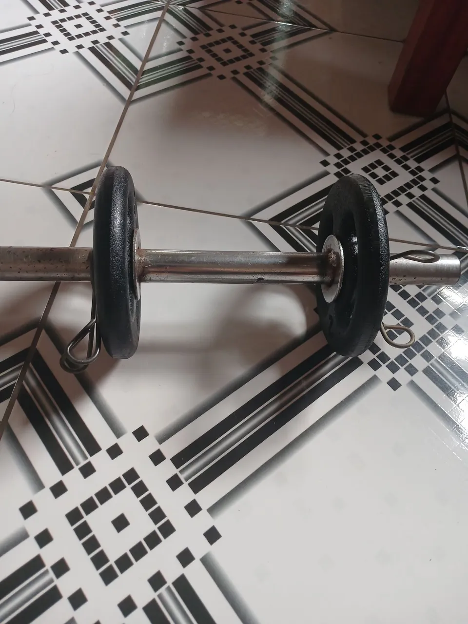 Halteres com anilhas para treino