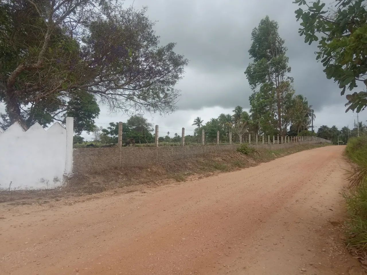 Fazendinha top! - Foto 2