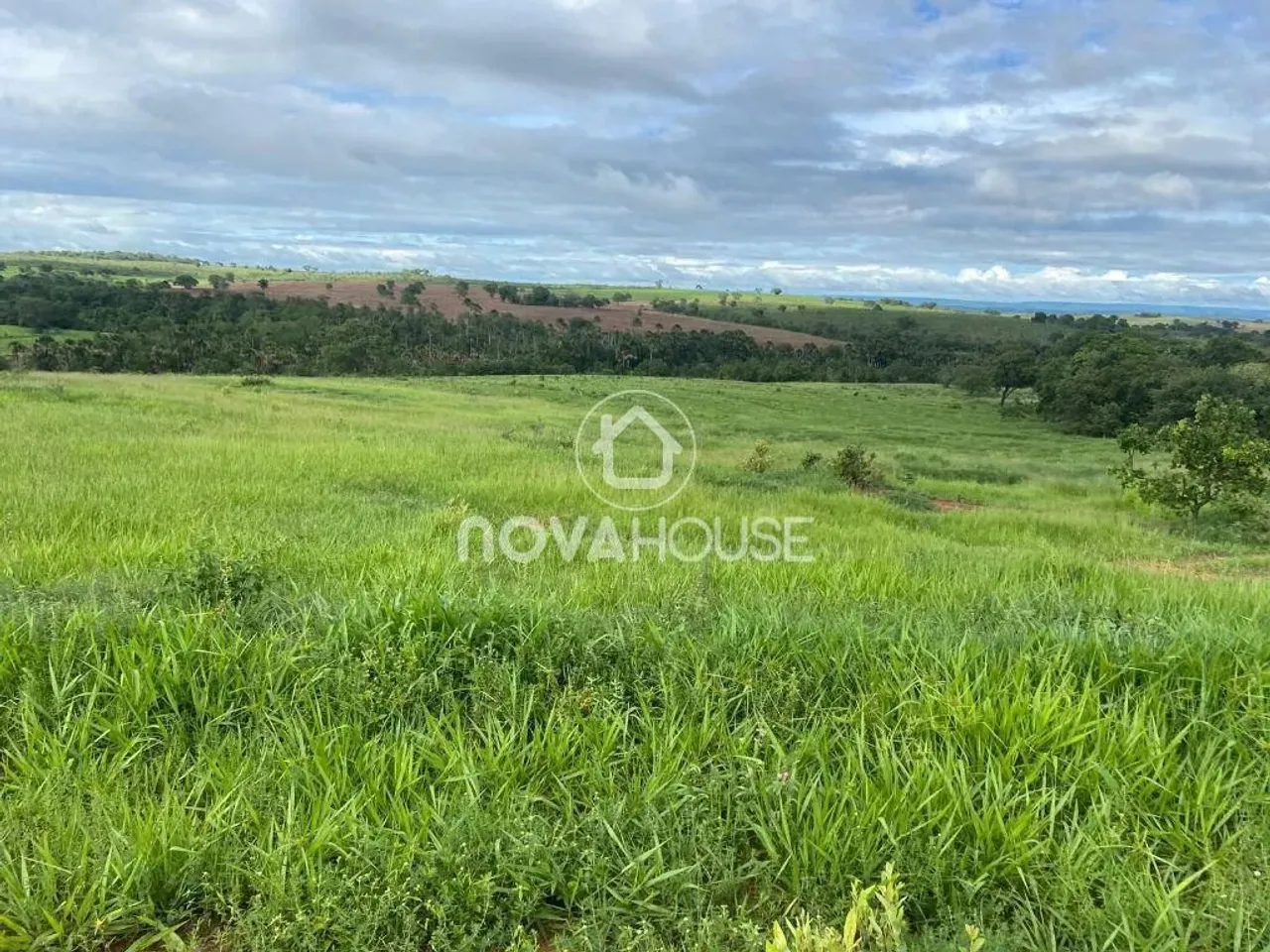 FAZENDA À VENDA, 1830000 HECTARES CENTRO - CAMAPUÃ