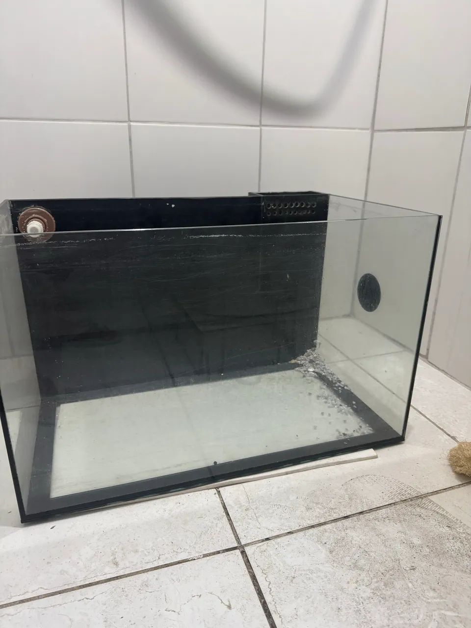 aquário 