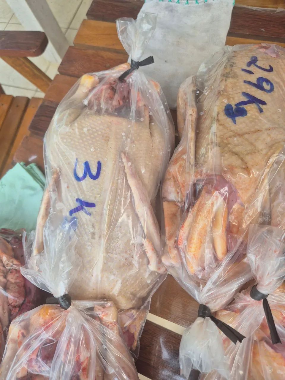 Vendo pato tratado - Foto 4