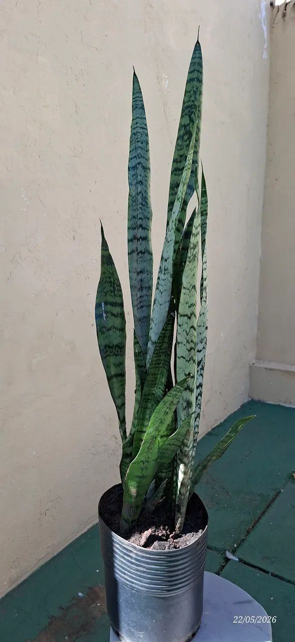 Vaso de espadas 103cm - Foto 5