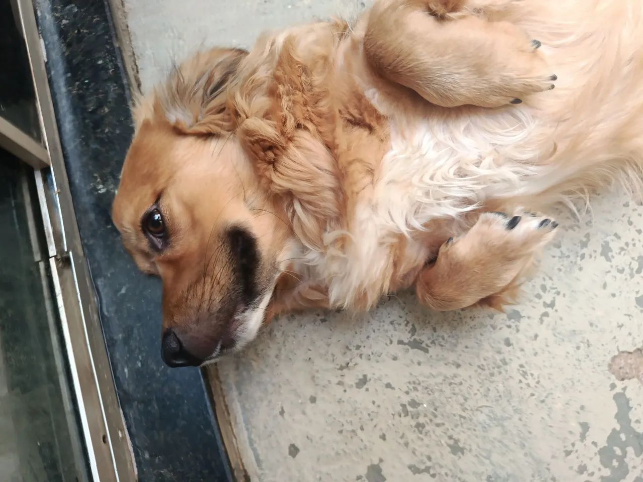 Doação  - Foto 4