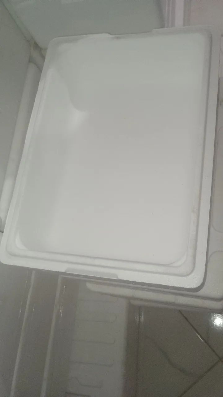 Caixa de isopor para peixe picolé 