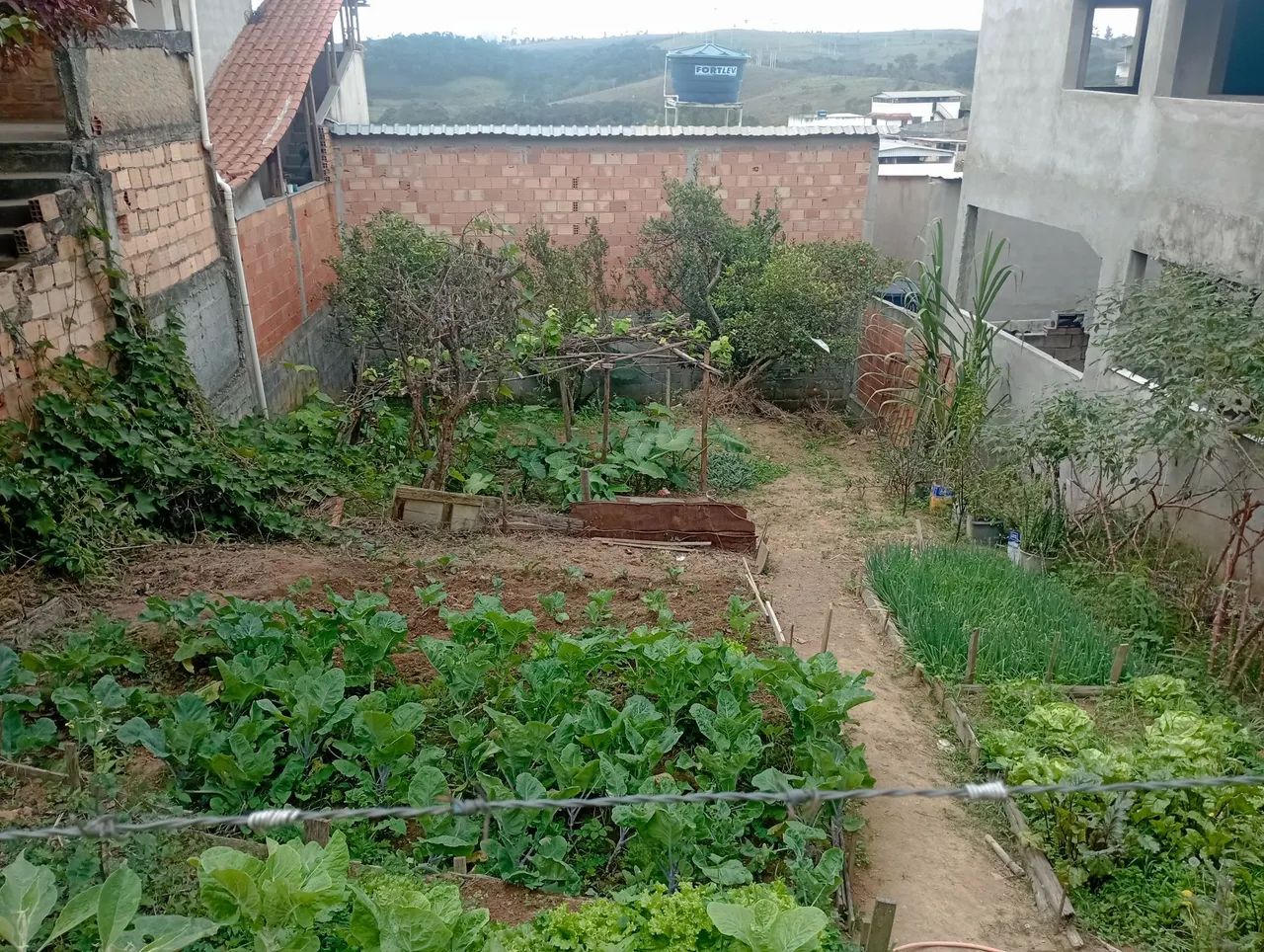 Vende se lote  - Foto 3