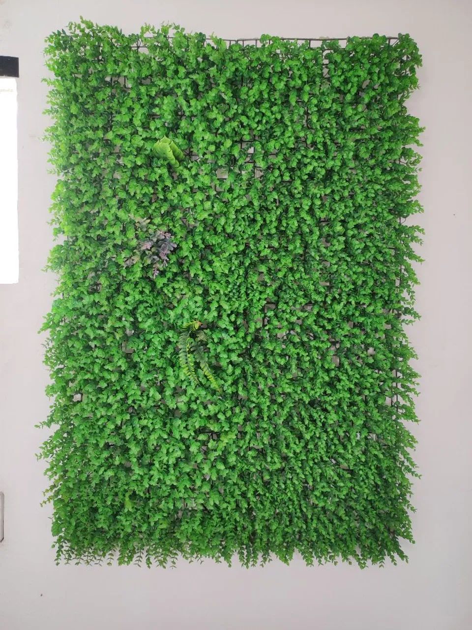 Muro Verde decoração 