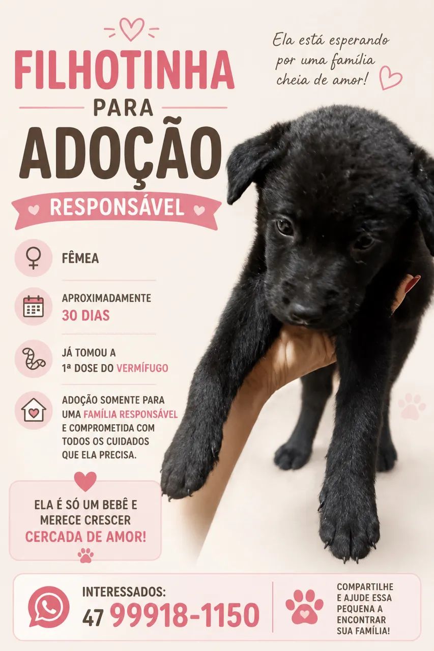 Filhotes disponíveis  - Foto 2