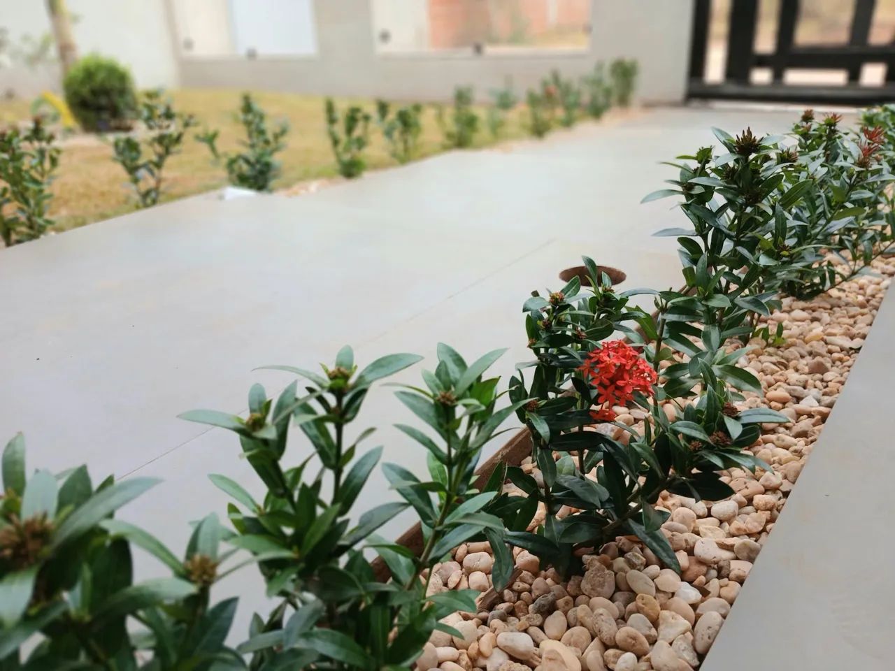 Paisagismo e Jardinagem  - Foto 2