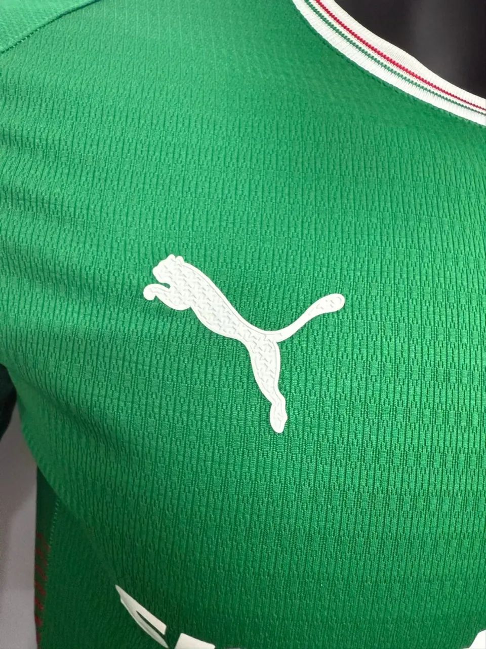 Camisa Palmeiras (nova) - Foto 3