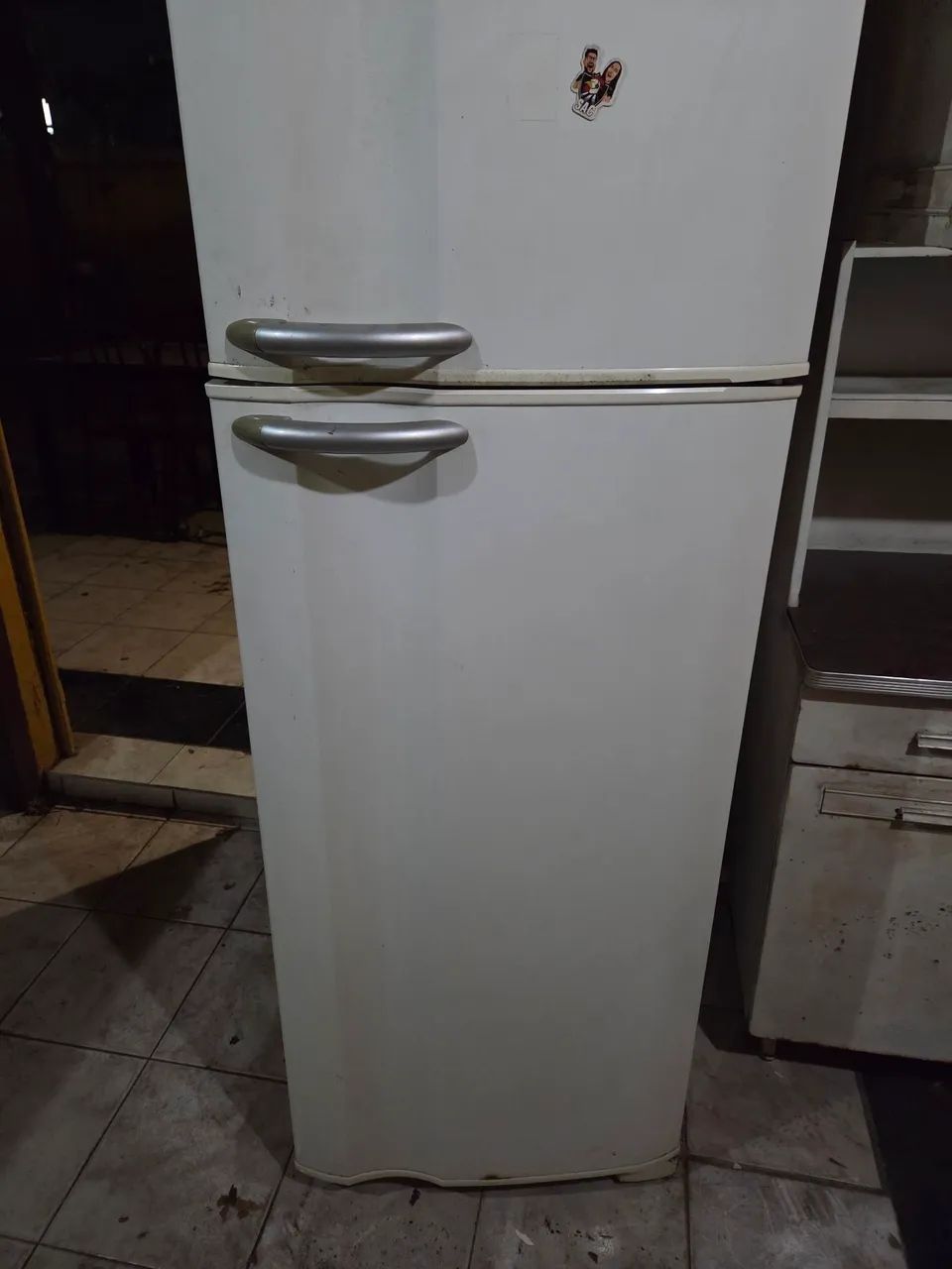 Geladeira eletrolux duolex