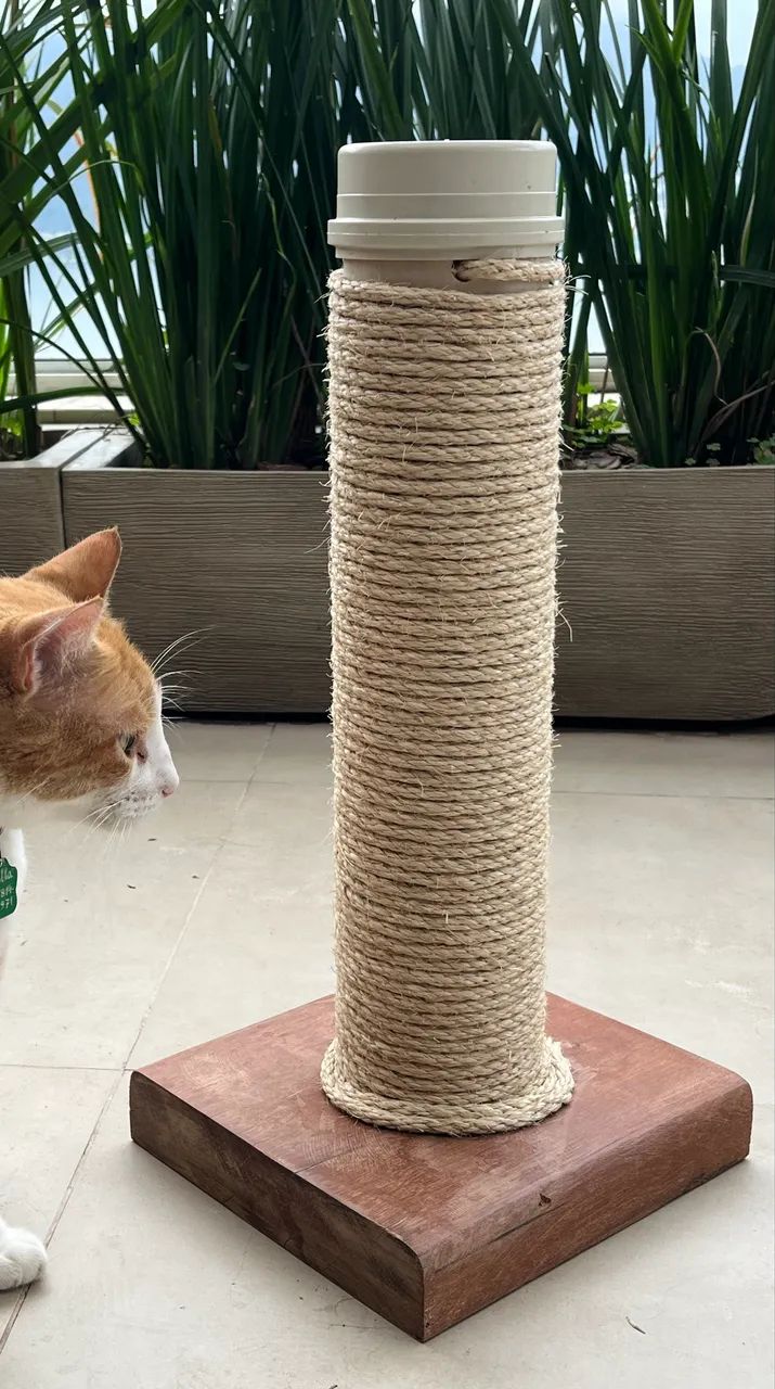 Arranha gato 