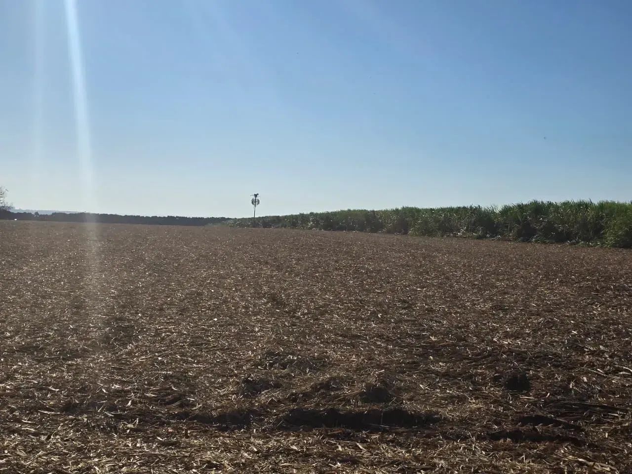 Fazenda a venda Santa Maria da Serra SP - Foto 2
