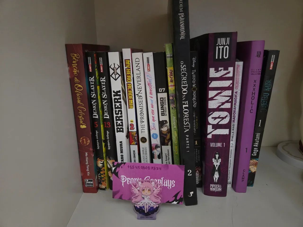 Lote de mangás e Novels