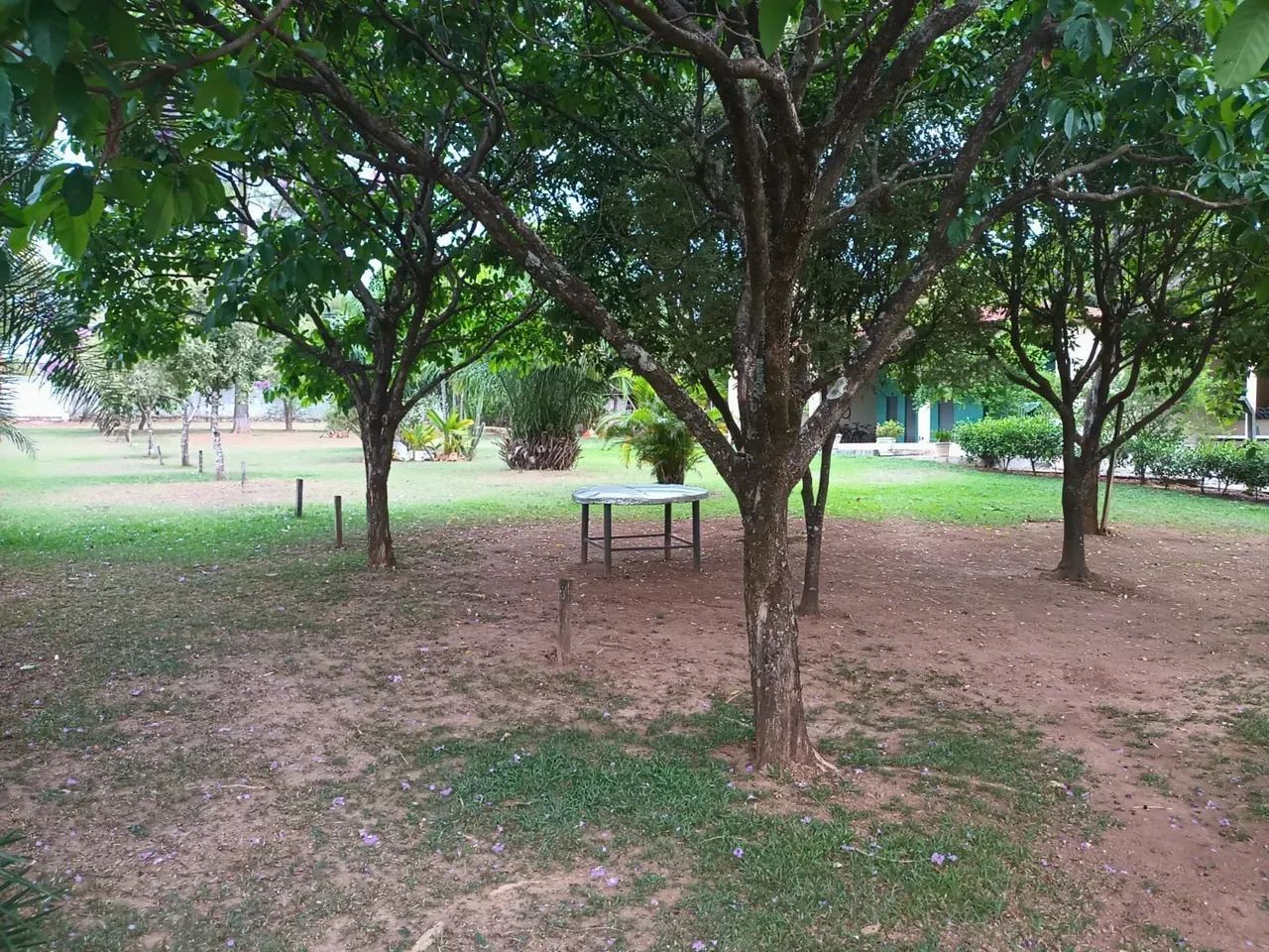 ÁREA DE 8.800 METROS LOCALIZADA NO BAIRRO CARDOSO PROX A AV RIO VERDE OPORTUNIDADE ÚNICA E - Foto 2
