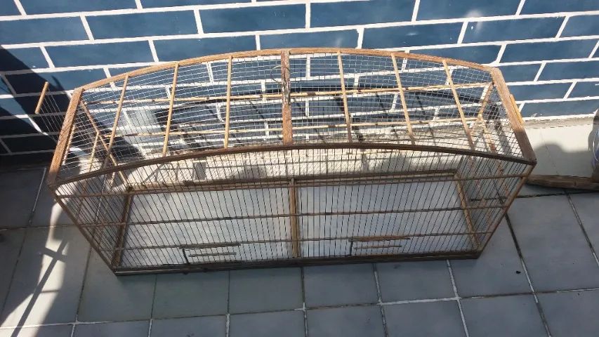 Gaiola e viveiro - Foto 3