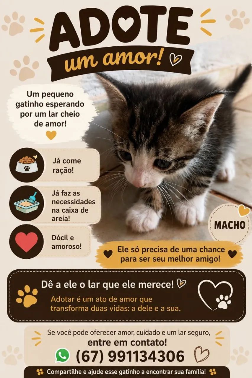 Adoção responsável  - Foto 2