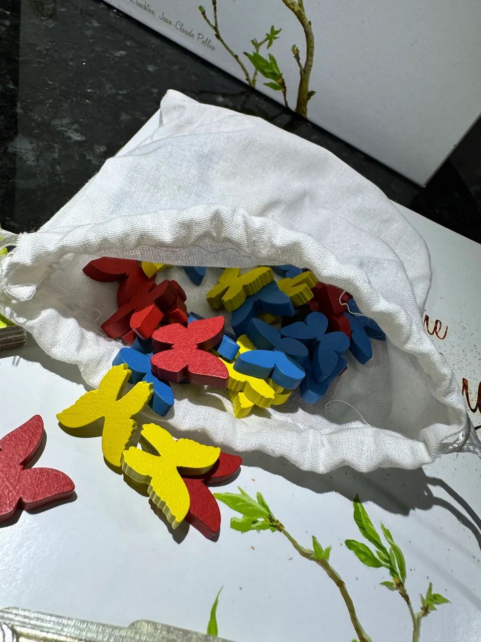 Dust in the Wings - Foto 4