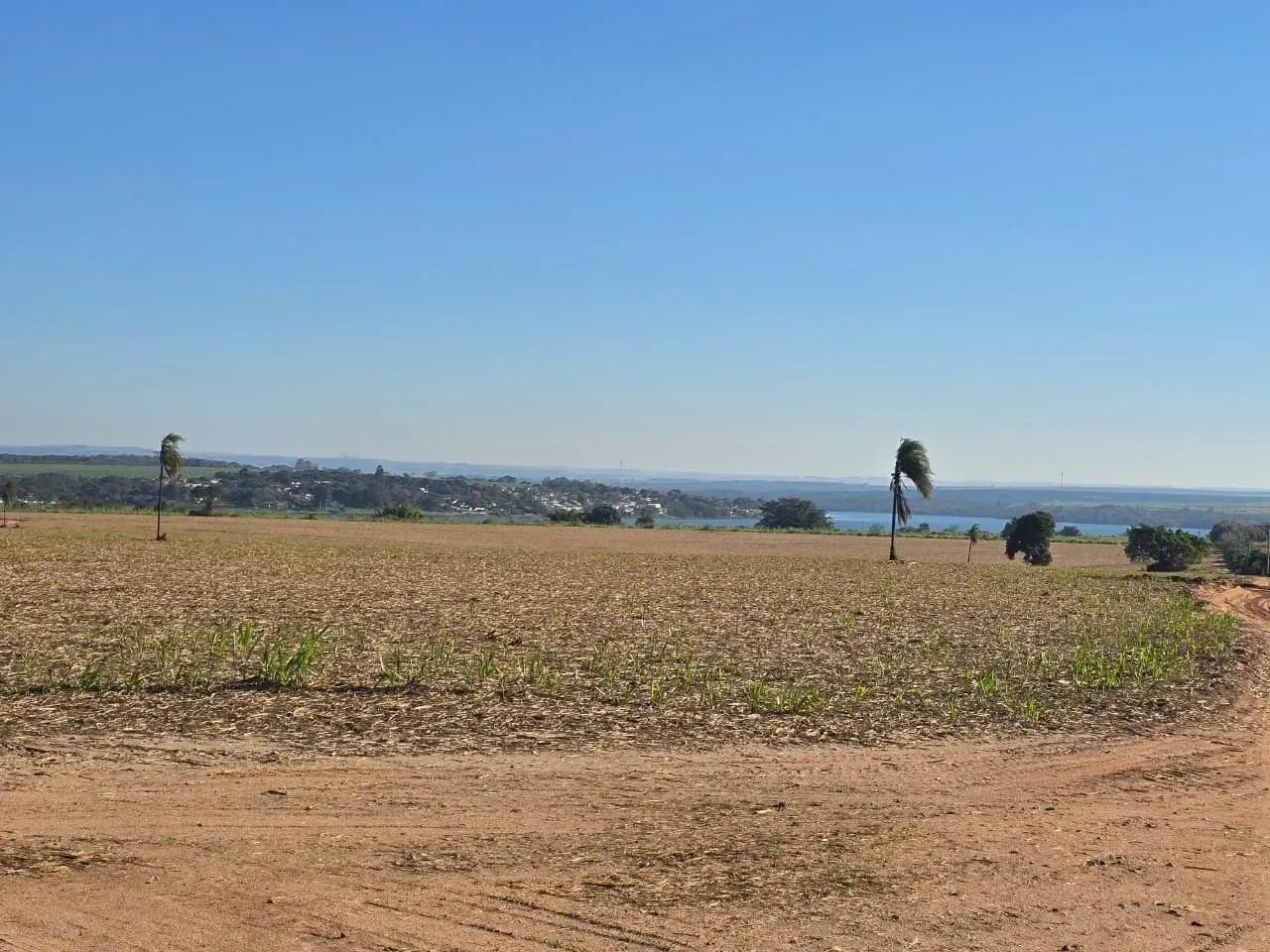 Fazenda a venda Santa Maria da Serra SP - Foto 5