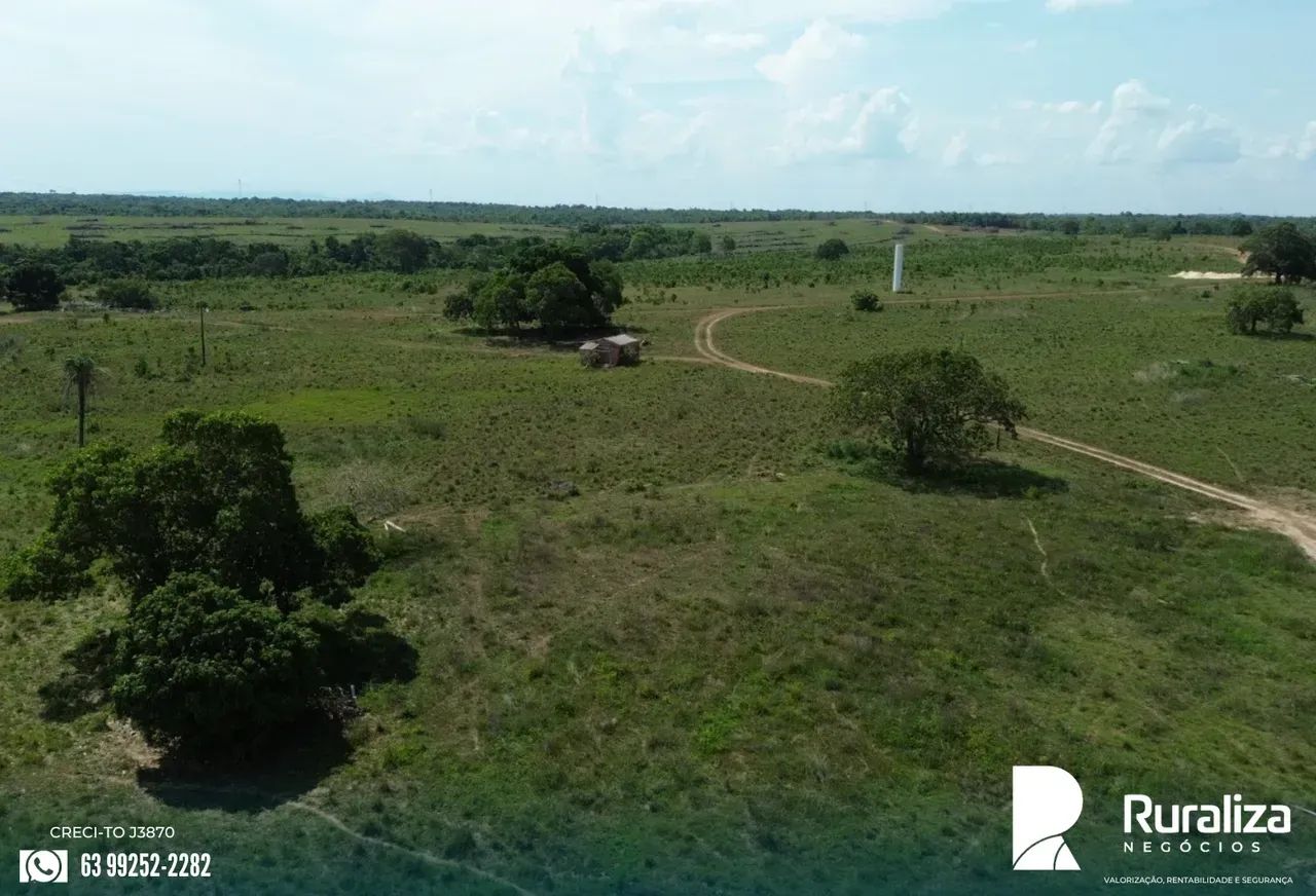 248 ALQUEIRES | 600 HA PRONTOS PARA AGRICULTURA | SAFRA E SAFRINHA - Foto 2