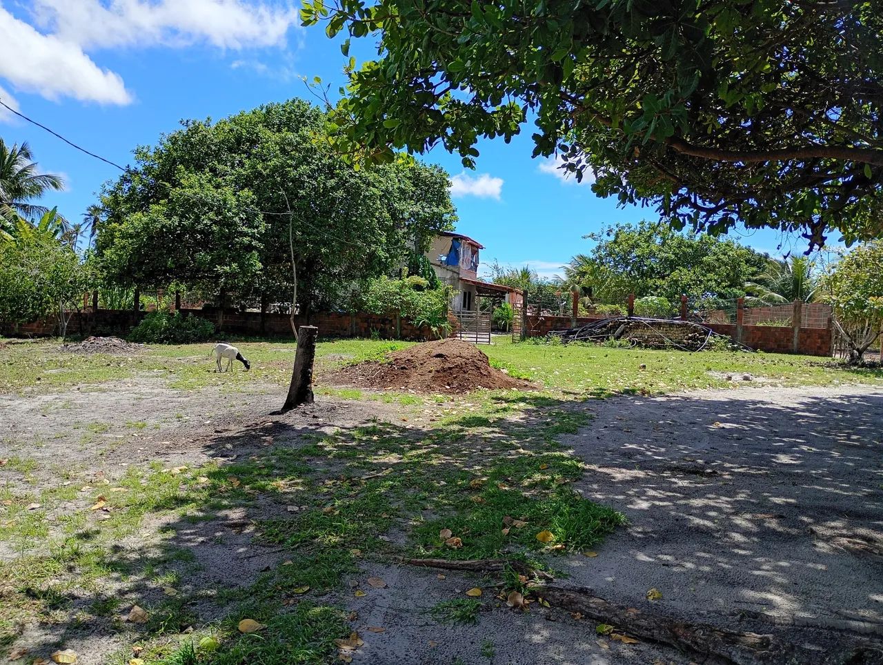 Sítio em Punaú. - Foto 5
