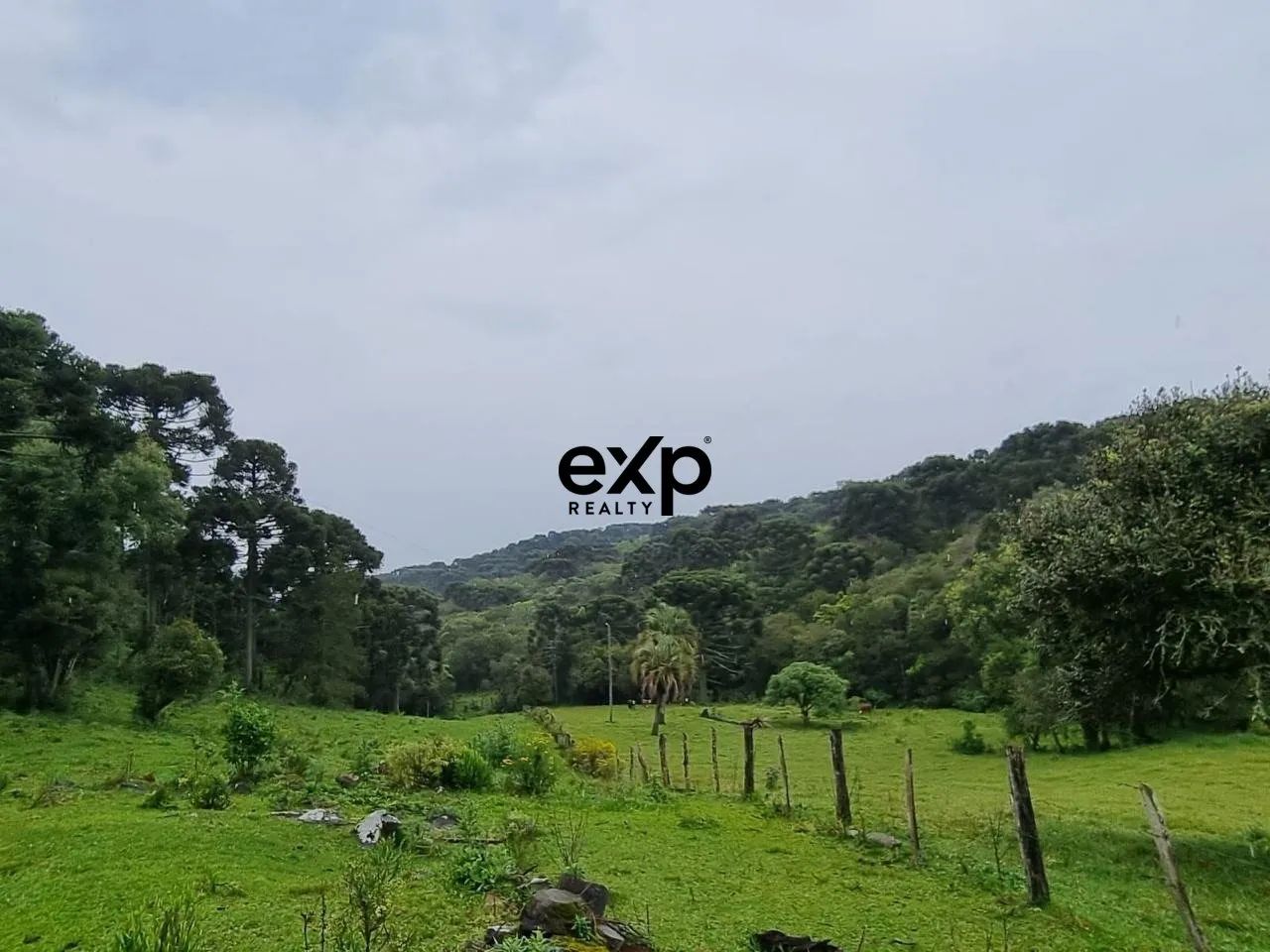 OPORTUNIDADE RURAL 46 HA COM ÁGUA | PERTO DE LAGES. - Foto 4