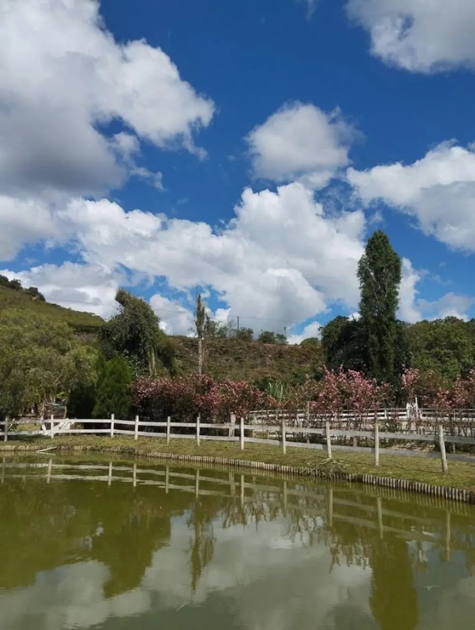 Vende-se Sítio lindo! - Foto 5