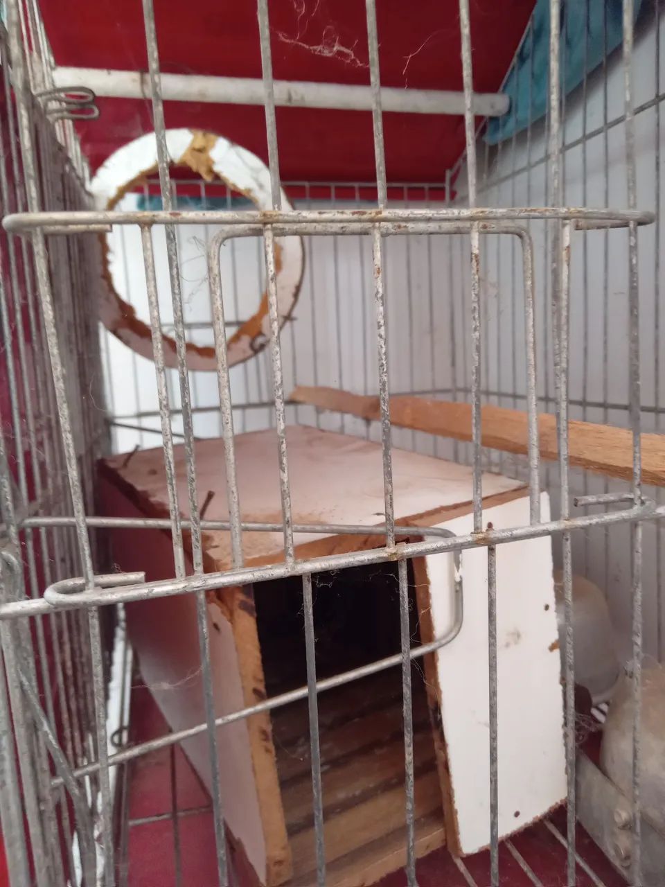 Gaiola pra jandaia 