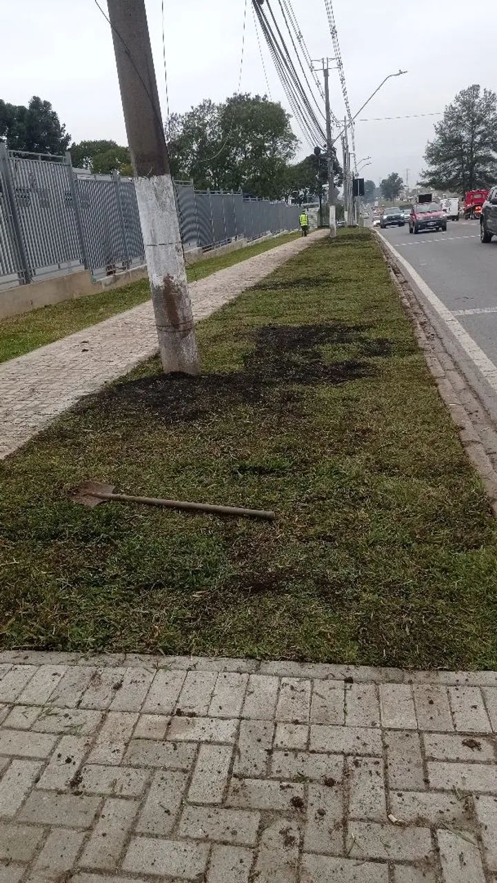 Auxiliar de cololação de Grama - Foto 5