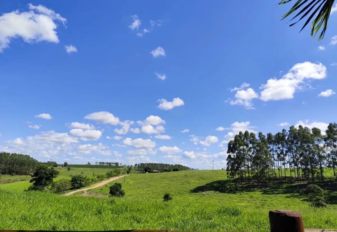 fazenda dupla aptidão pinheiros - Foto 2