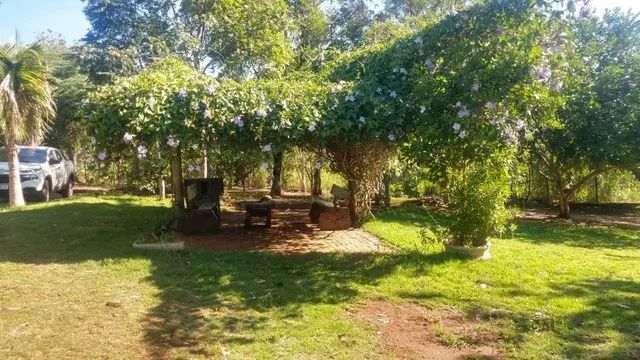 COD.008 - Chácara 10 ha | Jardim/MS  Próx. Rio Miranda - Foto 5