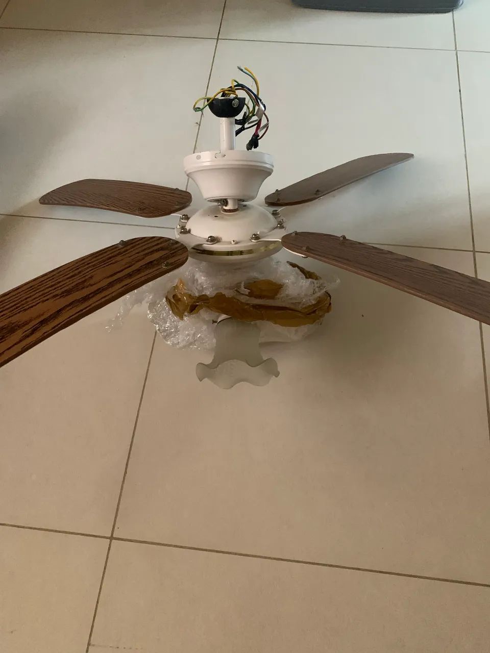 Ceiling Fan401231117162260483