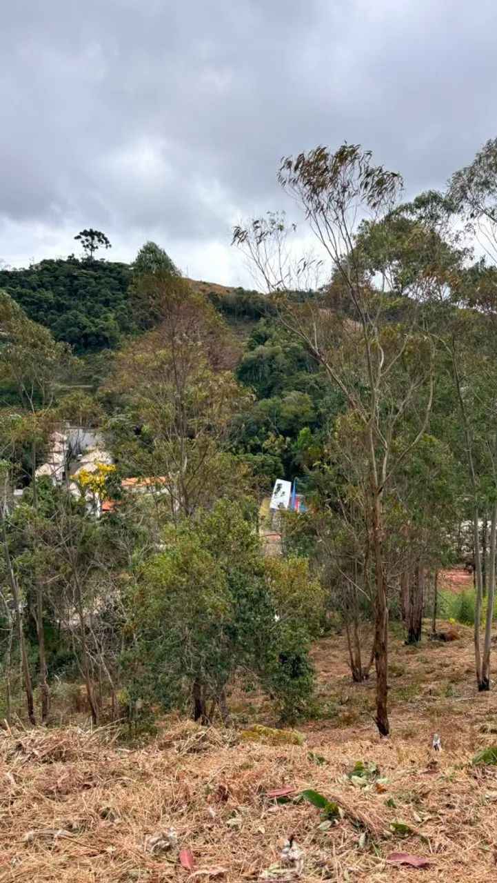 Terreno  - Foto 3