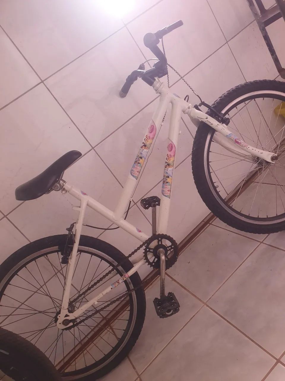 Bicicleta 
