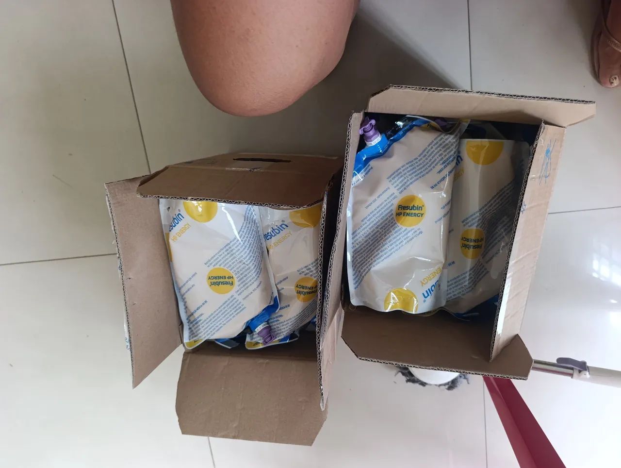 Alimentação 