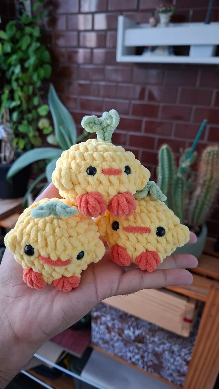 Amigurumi pintinho com plantinha crochê 