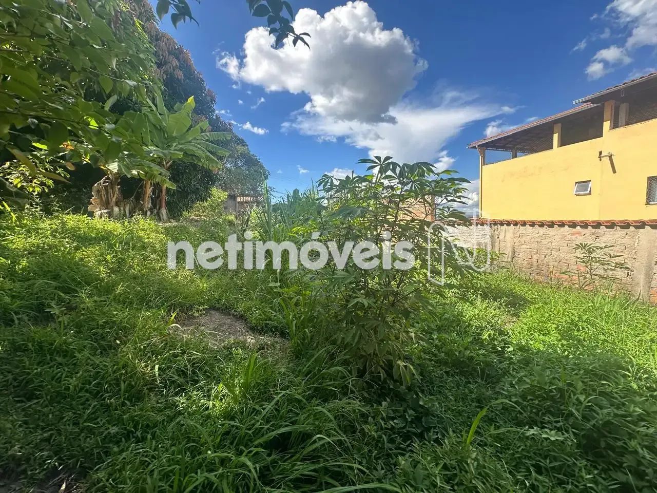 LOTE À VENDA 360 m²; - Foto 3