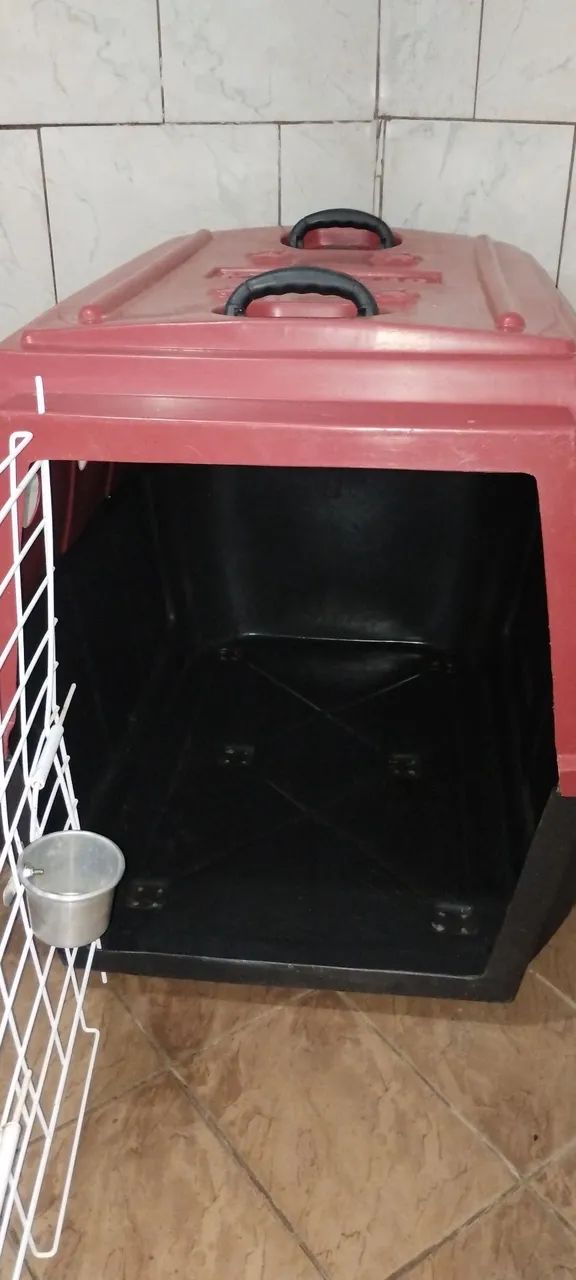 Vendo linda casa de cachorro e caixa transportadora a  - Foto 3