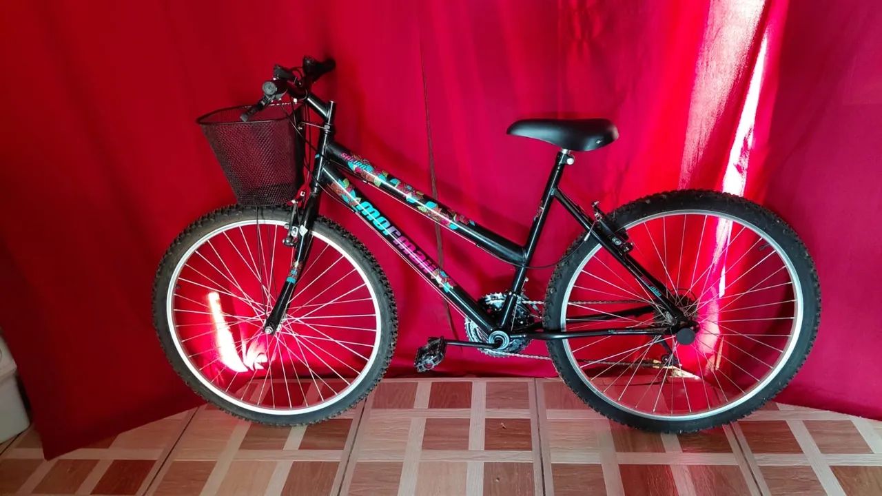 Vendo bicicleta 650,00